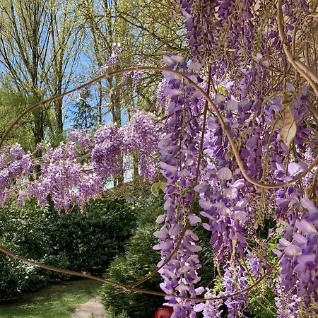 La Segaliere Bar Cajarc